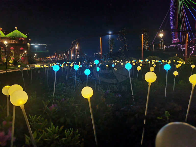 夜遊（yóu）燈光實拍圖