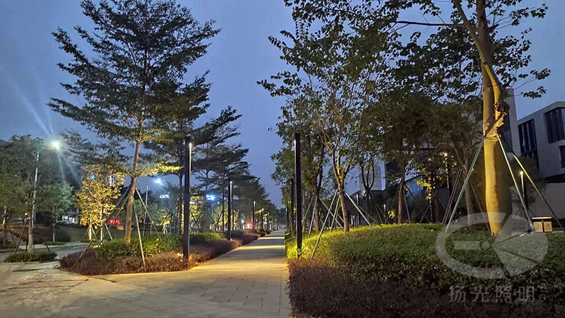 東莞中集智穀產業園景觀照明工（gōng）程夜景（jǐng）圖