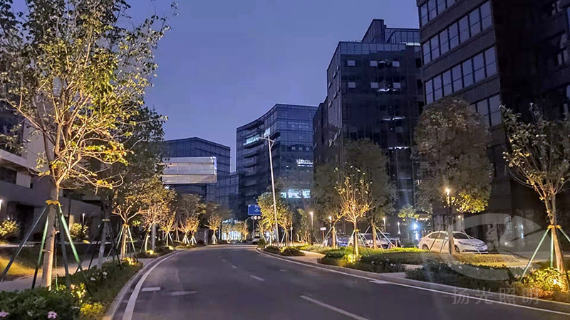 東莞中集智穀產業園景觀照明工程夜景圖