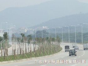 東莞環（huán）湖路道路照明工程