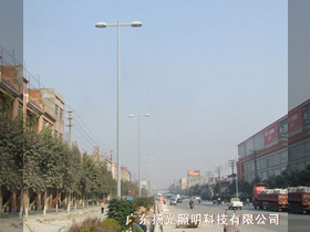 東莞家具大（dà）道景觀照明工程