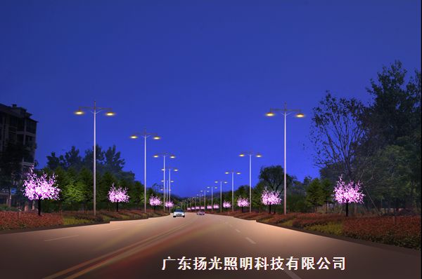 湖北銀泉大（dà）道景觀亮化（huà）